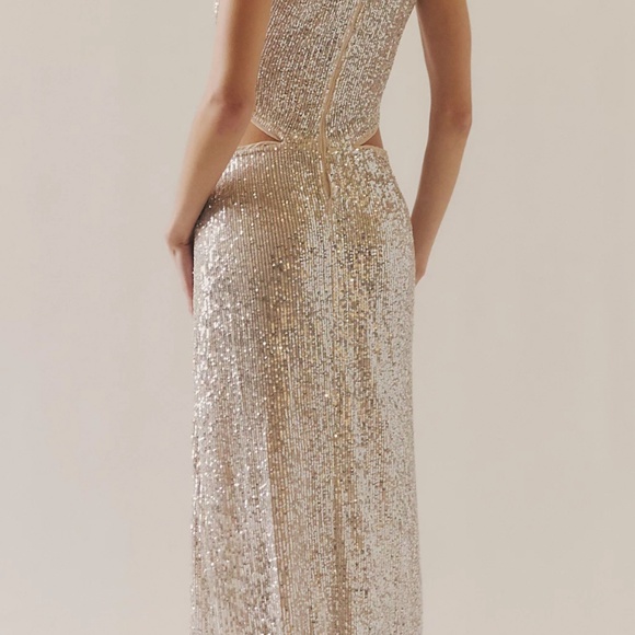 Saemdi Fitted Sequin Cut-Out Maxi Dress • Size S • Silver - Picture 13 of 13